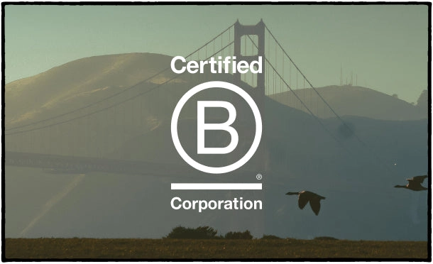 Marine Layer sustainability